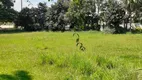 Foto 4 de Lote/Terreno à venda, 4000m² em Chácaras Catagua, Taubaté