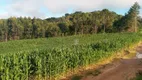 Foto 5 de Fazenda/Sítio à venda, 24000m² em Areia Branca dos Assis, Mandirituba