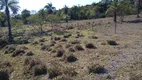 Foto 11 de Fazenda/Sítio com 3 Quartos à venda, 120m² em Zona Rural, Mirabela