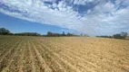 Foto 28 de Fazenda/Sítio à venda, 13000m² em Campo Novo, Campo Magro