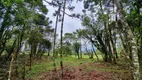 Foto 2 de Fazenda/Sítio com 1 Quarto à venda, 20000m² em , Urubici