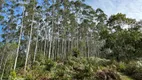 Foto 2 de Fazenda/Sítio à venda, 42000m² em Alto Benedito Novo, Benedito Novo