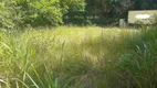 Foto 8 de Lote/Terreno para venda ou aluguel, 5000m² em Estacio, Rio de Janeiro