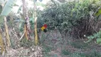 Foto 14 de Fazenda/Sítio com 3 Quartos à venda, 5000m² em Sapucai, Jacutinga