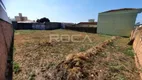 Foto 2 de Lote/Terreno à venda, 300m² em Vila Alpes, São Carlos