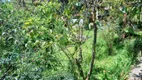 Foto 10 de Fazenda/Sítio com 1 Quarto à venda, 100m² em Jardim Taquarussu, Mauá
