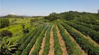 Foto 11 de Fazenda/Sítio à venda, 360000m² em Zona Rural, Caconde