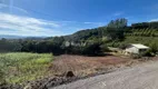 Foto 10 de Lote/Terreno à venda, 3964m² em Vale dos Vinhedos, Bento Gonçalves