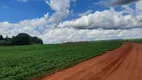 Foto 22 de Fazenda/Sítio à venda, 4910000m² em Centro, Jataí