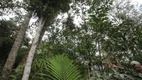 Foto 28 de Fazenda/Sítio com 5 Quartos à venda, 190m² em Jardim Janaína, Biguaçu
