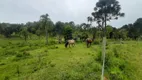 Foto 30 de Fazenda/Sítio com 1 Quarto à venda, 140m² em Zona Rural, Campo Alegre