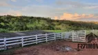 Foto 24 de Fazenda/Sítio com 4 Quartos à venda, 11m² em Zona Rural, Alexânia