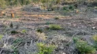 Foto 6 de Lote/Terreno à venda, 150000m² em Centro, Caxias do Sul