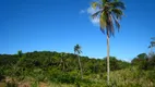 Foto 13 de Fazenda/Sítio à venda, 100000m² em Jaua Abrantes, Camaçari