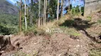 Foto 6 de Lote/Terreno à venda, 385m² em Cônego, Nova Friburgo