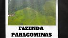 Foto 16 de Fazenda/Sítio à venda, 3000000m² em Celio Miranda, Paragominas