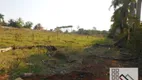 Foto 5 de Lote/Terreno à venda, 10000m² em Area Rural de Limeira, Limeira