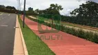 Foto 6 de Lote/Terreno com 1 Quarto à venda, 465m² em Granja Marileusa , Uberlândia