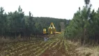 Foto 9 de Fazenda/Sítio com 8 Quartos à venda, 2000m² em Centro, Registro