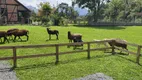 Foto 18 de Fazenda/Sítio à venda, 70000m² em Vila Nova, Joinville