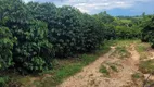 Foto 20 de Fazenda/Sítio com 2 Quartos à venda, 45000m² em , Monte Mor