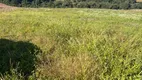 Foto 8 de Lote/Terreno à venda, 113000m² em Bateias de Baixo, Campo Alegre