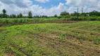 Foto 10 de Lote/Terreno à venda, 30000m² em Aldeia, Camaragibe