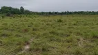 Foto 2 de Fazenda/Sítio à venda, 200m² em Centro, Ponte Alta do Tocantins