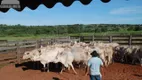 Foto 22 de Fazenda/Sítio com 1 Quarto à venda, 11220000m² em Sao Romao, Coxim