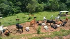 Foto 25 de Fazenda/Sítio à venda, 260000m² em Zona Rural, Delfim Moreira