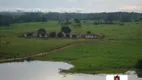 Foto 15 de Fazenda/Sítio com 20 Quartos à venda, 149000000m² em Zona Rural, Rondolândia