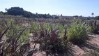 Foto 15 de Fazenda/Sítio com 3 Quartos à venda, 12500m² em Monte Alegre, Monte Alegre