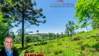 Foto 15 de Fazenda/Sítio à venda, 40000m² em Zona Rural, Três Coroas