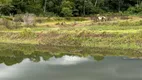 Foto 19 de Fazenda/Sítio à venda em Engenho, Acorizal