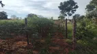 Foto 20 de Fazenda/Sítio com 3 Quartos à venda, 5000m² em Area Rural do Paranoa, Brasília