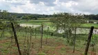 Foto 11 de Lote/Terreno à venda, 130000m² em dos Pires Caucaia do Alto, Cotia