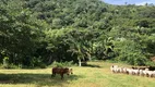 Foto 19 de Fazenda/Sítio à venda em Zona Rural, Rosário Oeste