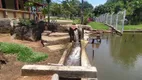 Foto 61 de Fazenda/Sítio com 5 Quartos à venda, 145000m² em Área Rural, Aragoiânia