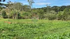 Foto 14 de Lote/Terreno à venda, 1060m² em Vila Conceicao, Campo Largo