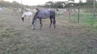 Foto 17 de Fazenda/Sítio com 3 Quartos à venda em , Dias D Ávila