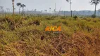 Foto 10 de Fazenda/Sítio à venda, 39860000m² em Vista Alegre do Abuna, Porto Velho