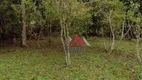 Foto 3 de Fazenda/Sítio com 2 Quartos à venda, 1800m² em Jardim das Lavras II, Suzano