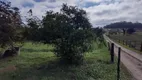 Foto 9 de Fazenda/Sítio com 2 Quartos à venda, 8500m² em Arraial dos Cunhas, Itajaí