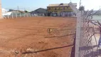 Foto 9 de Lote/Terreno para alugar, 1660m² em Jardim Dona Regina, Santa Bárbara D'Oeste