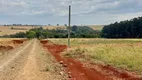 Foto 5 de Fazenda/Sítio à venda, 1200m² em Parque Industrial V, Arapongas