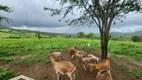 Foto 20 de Fazenda/Sítio com 9 Quartos à venda, 710000m² em Área Rural de Gravatá , Gravatá