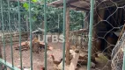 Foto 41 de Fazenda/Sítio com 5 Quartos à venda, 400m² em Zona Rural, Piracanjuba