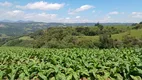 Foto 23 de Fazenda/Sítio com 2 Quartos à venda, 62000m² em Centro, Alfredo Wagner