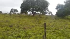 Foto 7 de Fazenda/Sítio à venda em Centro, Posse