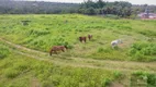 Foto 6 de Fazenda/Sítio à venda, 2093m² em , Primavera do Leste